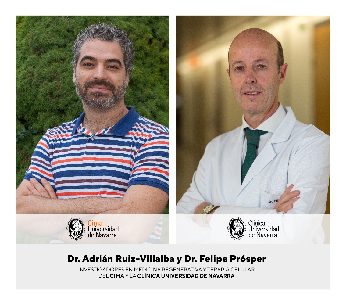Las células responsables de la reparación cardíaca. Foto: De izquierda a derecha: Adrián Ruiz-Villalba y Felipe Prósper, investigadores de Medicina regenerativa y Terapia celular del Cima y la Clínica Universidad de Navarra