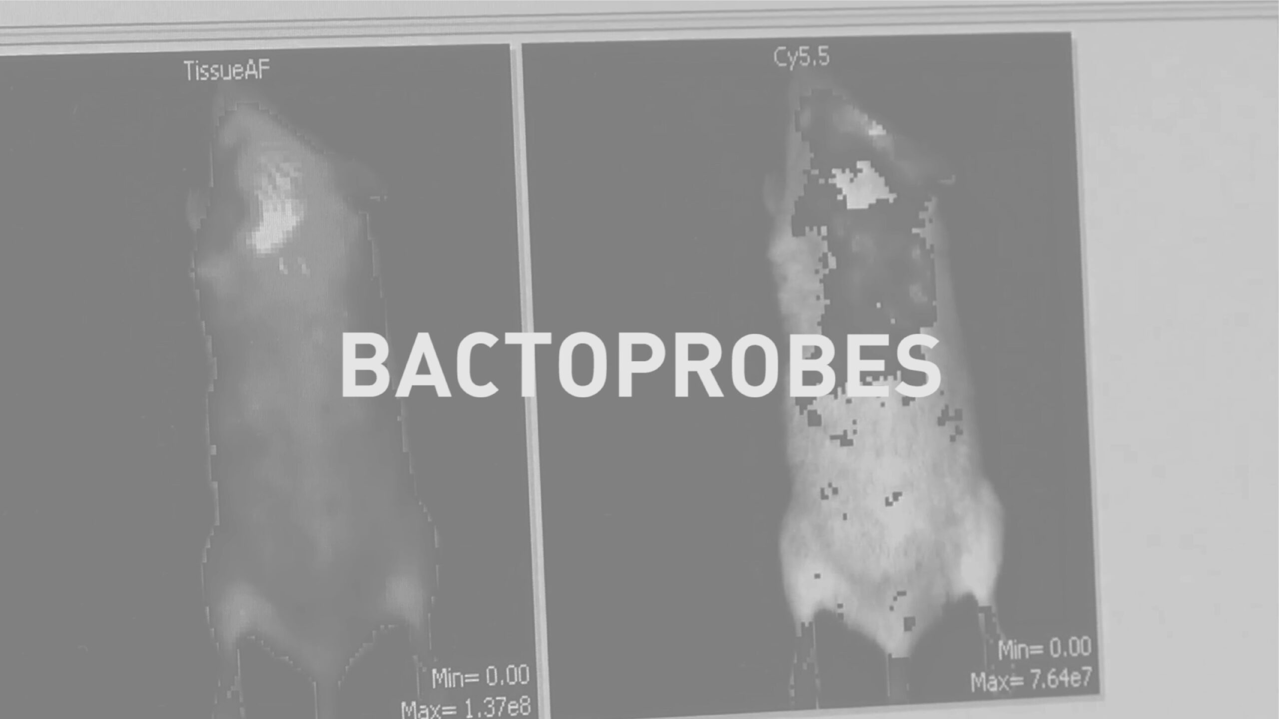 BACTOPROBES