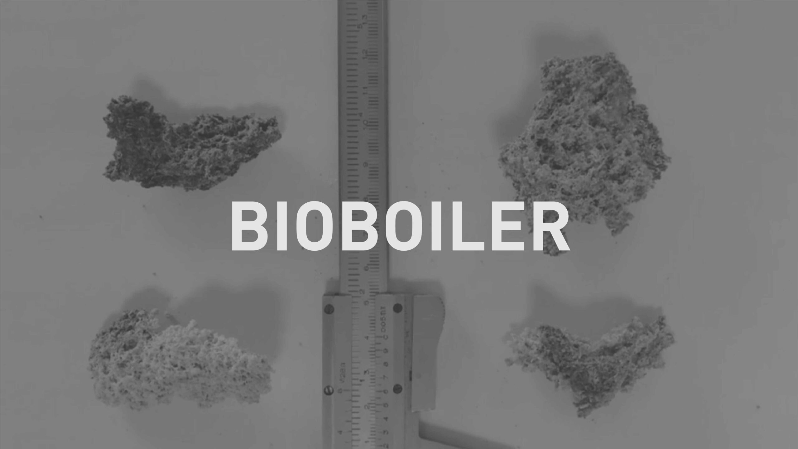 BioBoiler