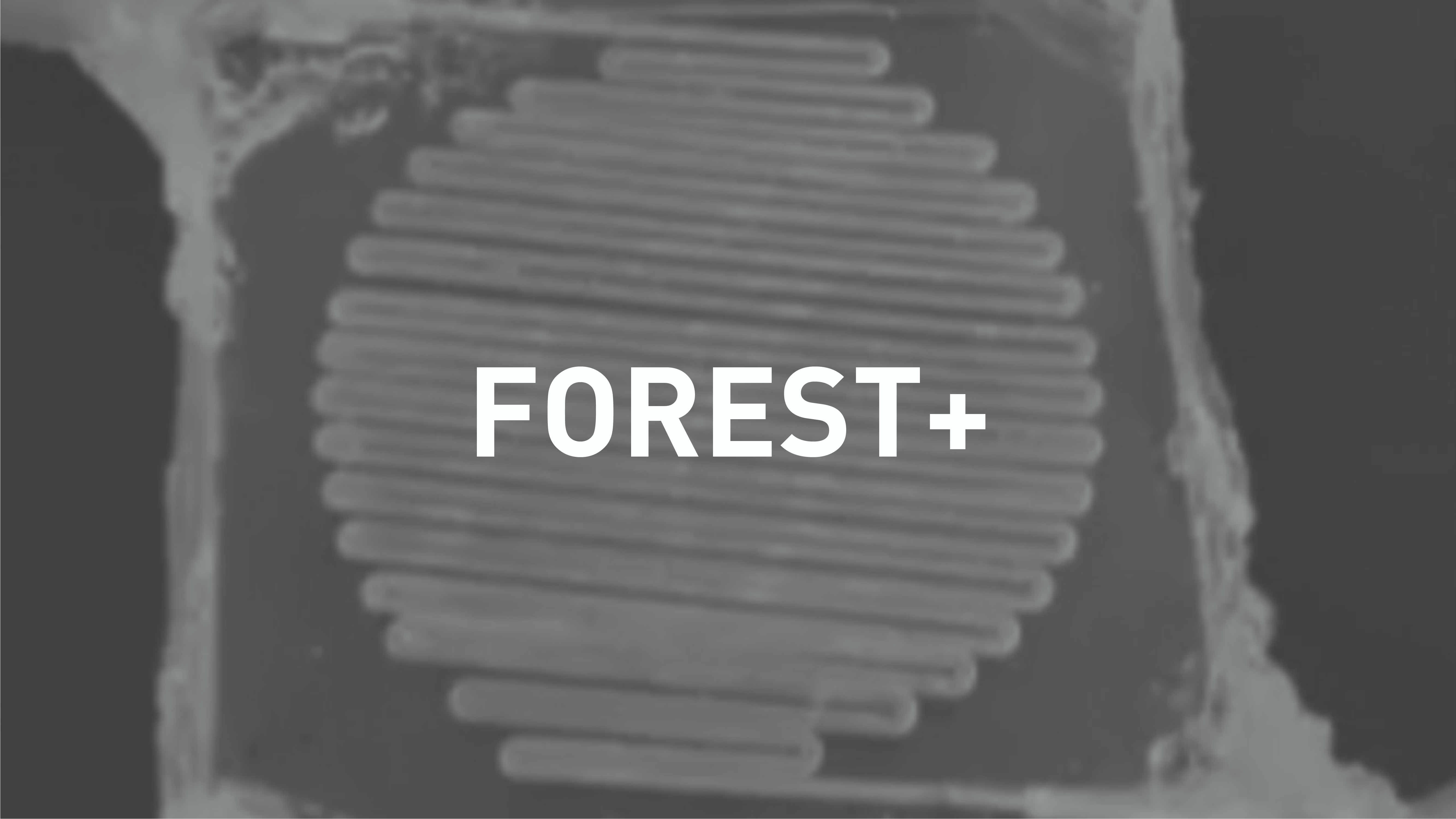 FOREST+