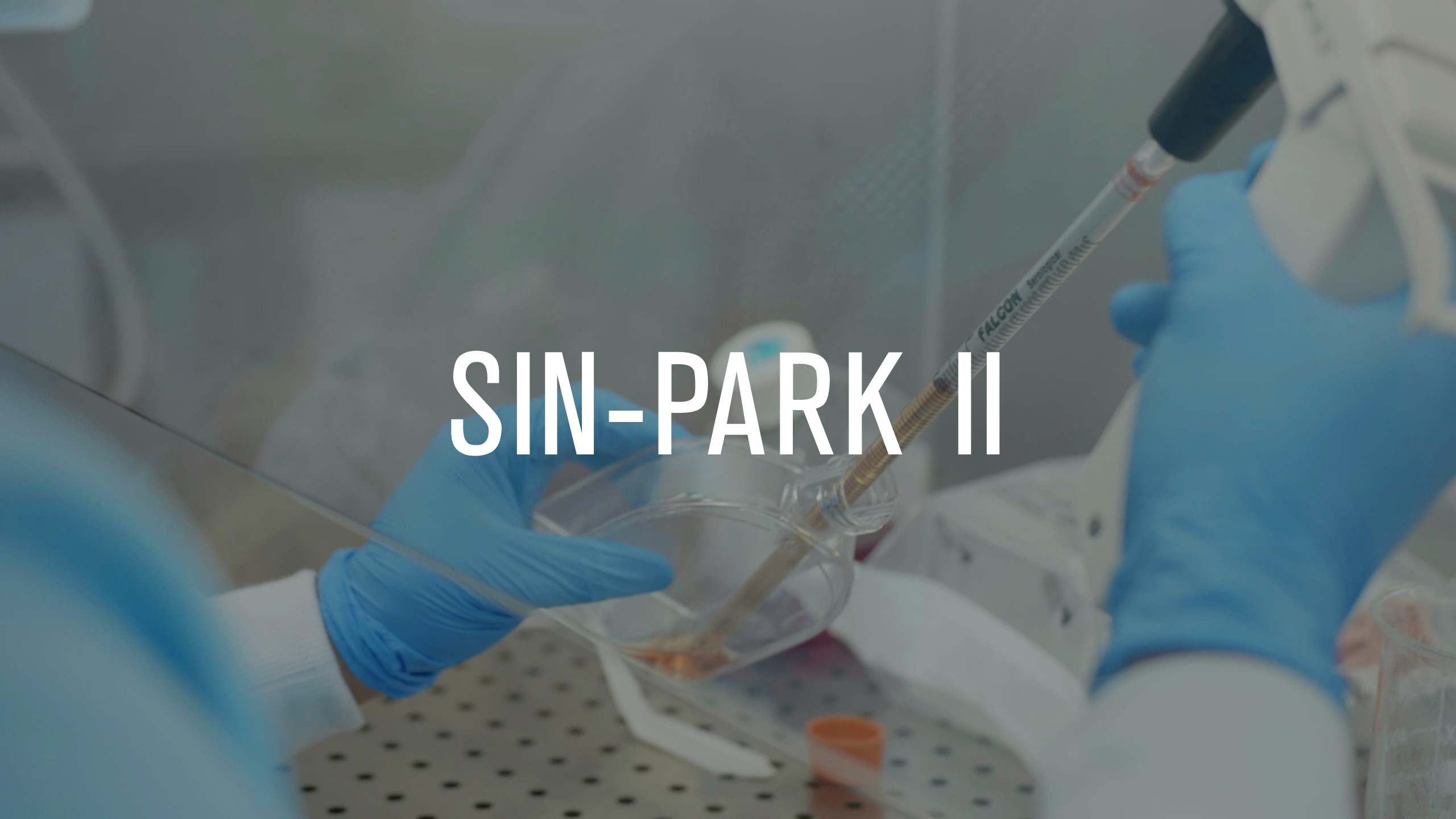 SinPark II proyecto colaborativo para prevenir la muerte de neuronas