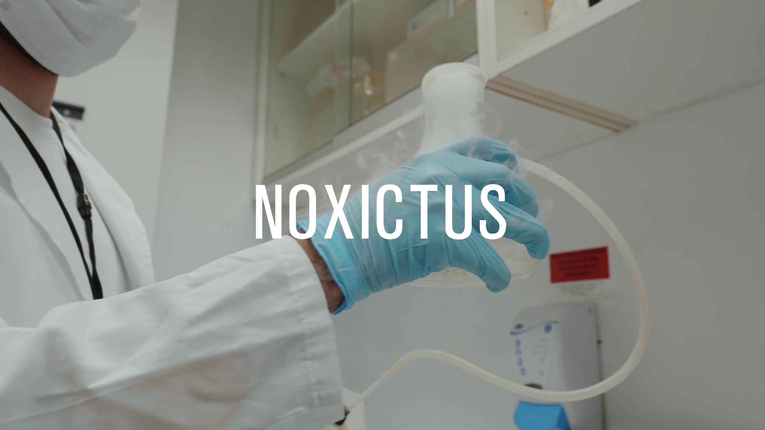 Proyecto colaborativo Noxictus