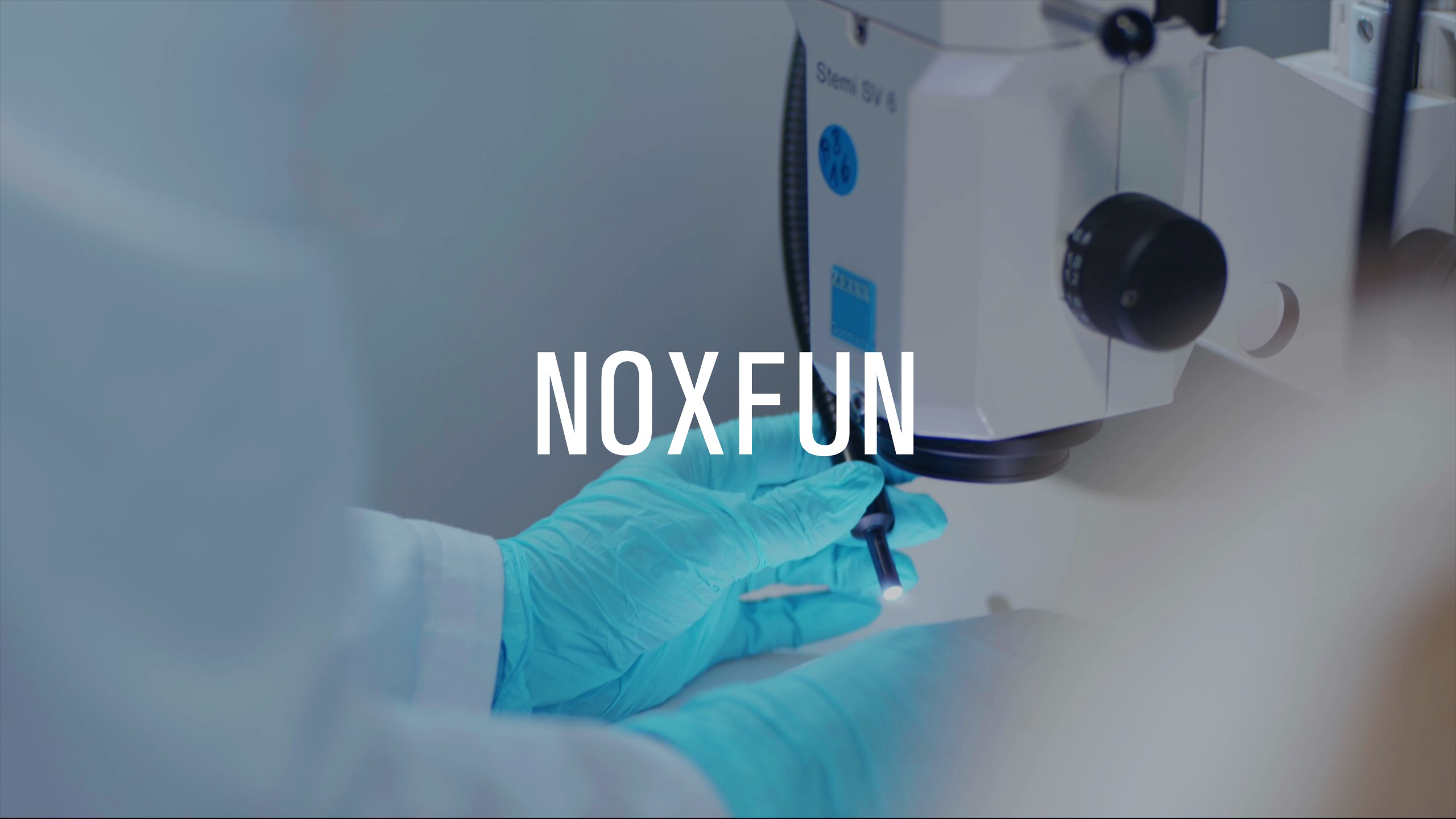 Proyecto colaborativo Noxfun