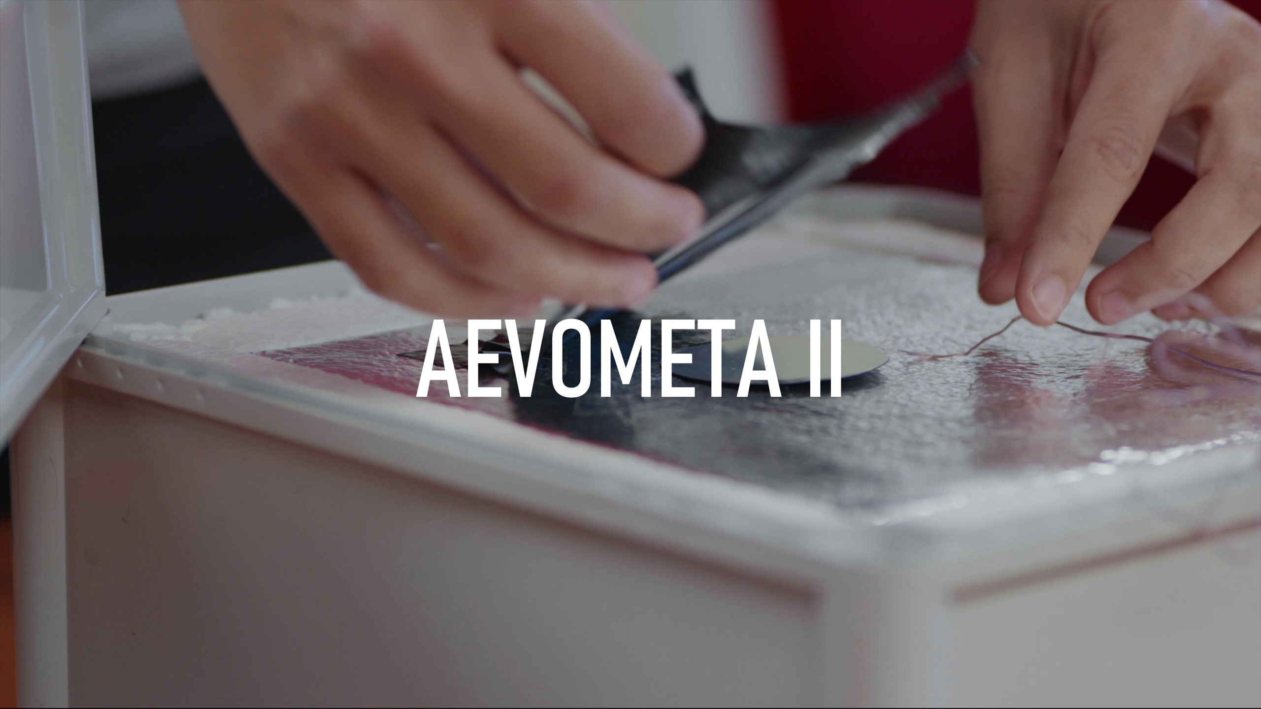 Carátula del vídeo de Aevometa II