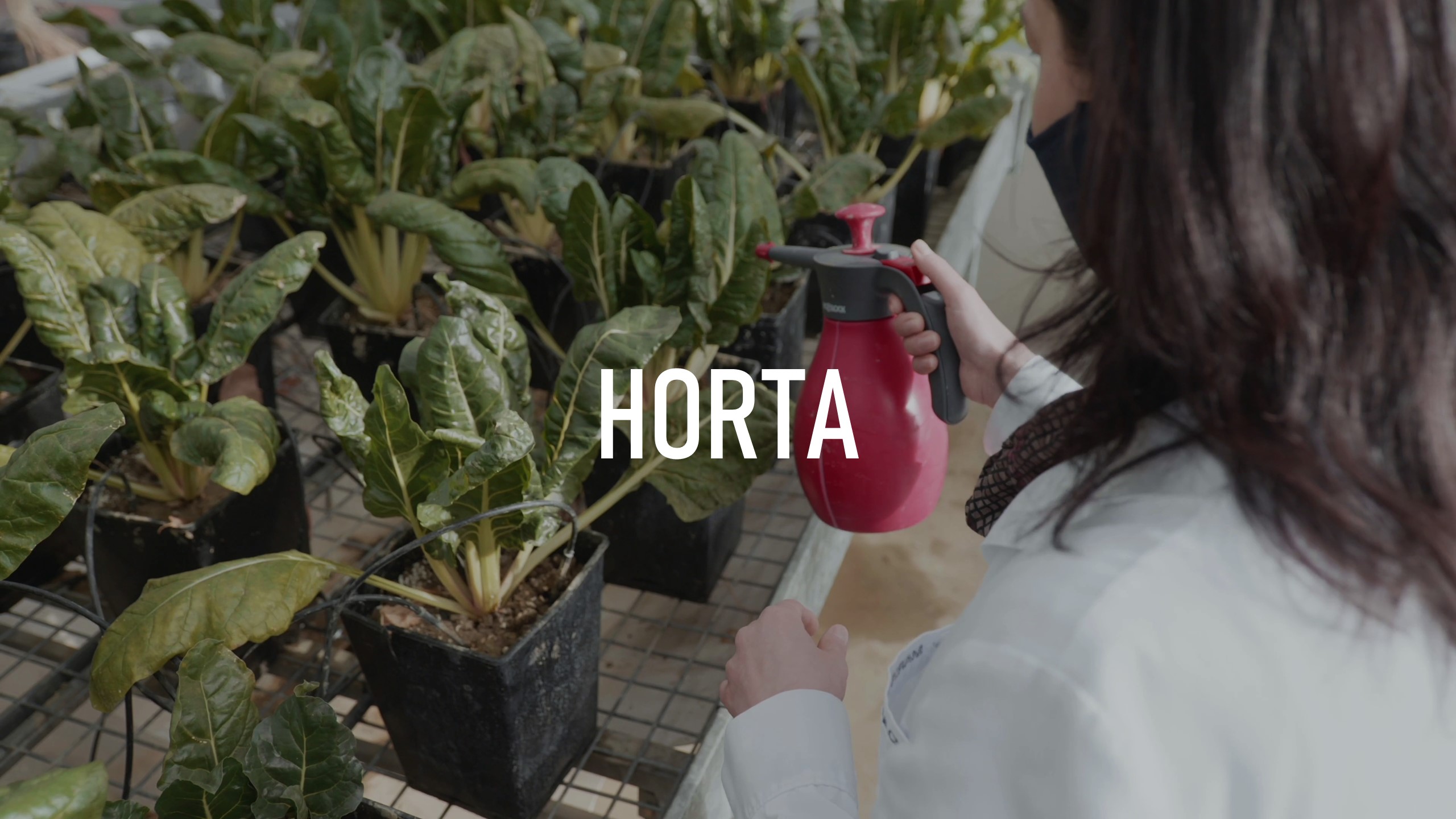 Imagen descriptiva del proyecto colaborativo Horta. Cultivos con mayor concentración de nitratos