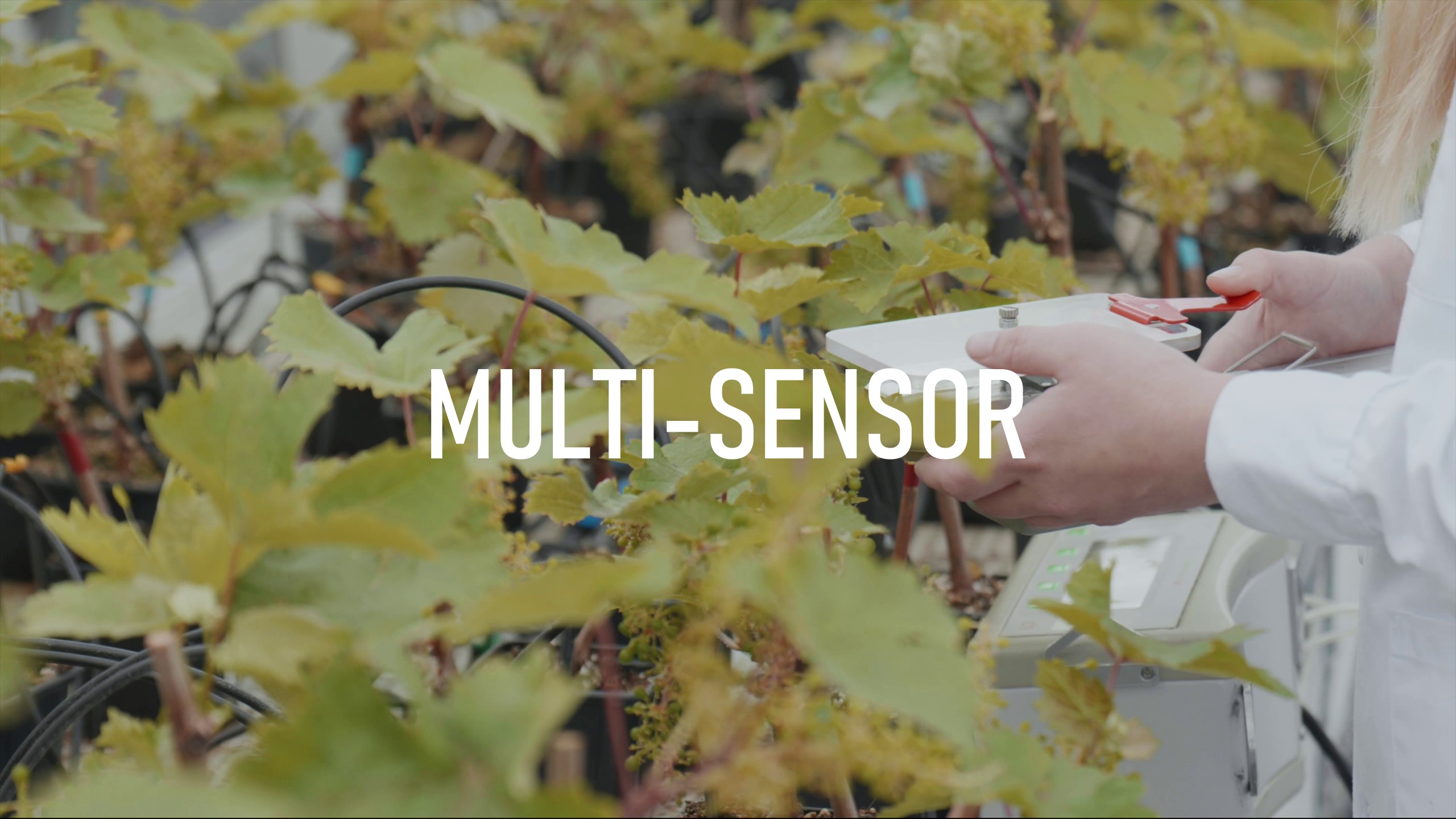 Proyecto colaborativo Multi-sensor