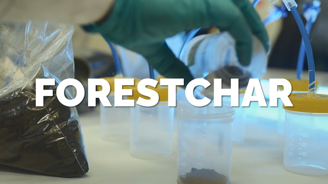 FORESTCHAR