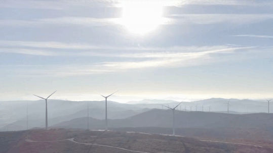 Campo aerogeneradores